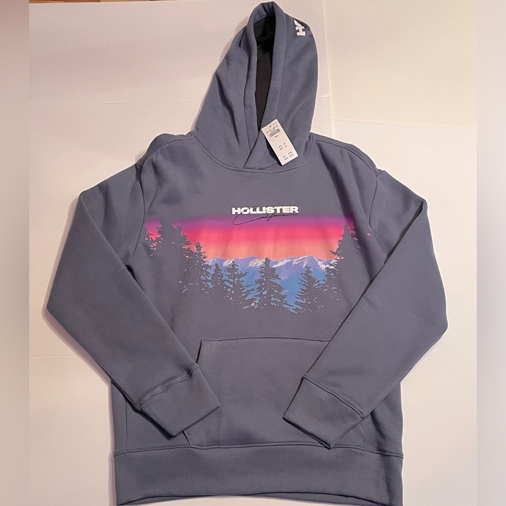 Mens Hollister hooded sweatshirt size small